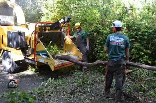 tree services Brantley